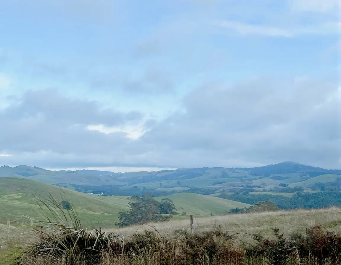 [Artistly Design]-019cba1f-e891-7101-9483-5c049052ecf0