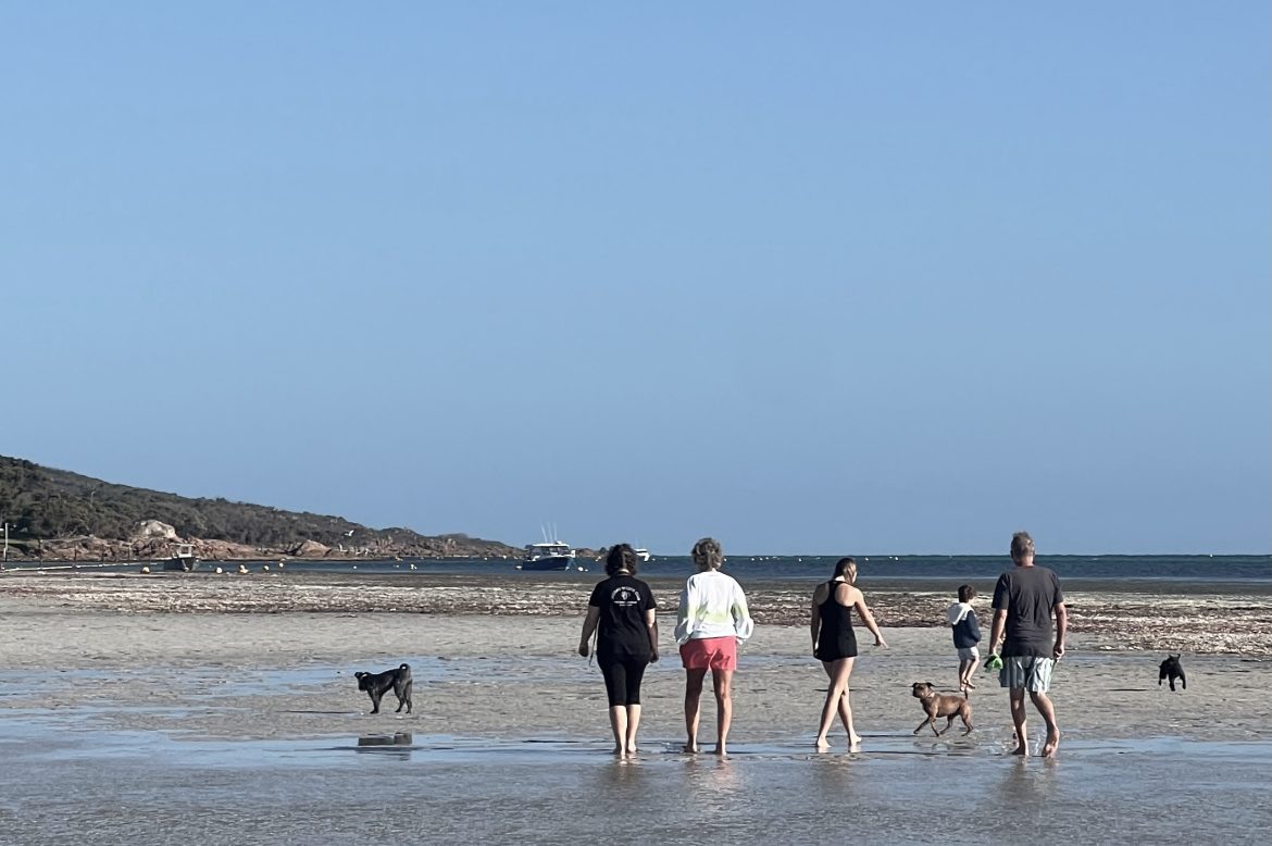 The power of small pleasures